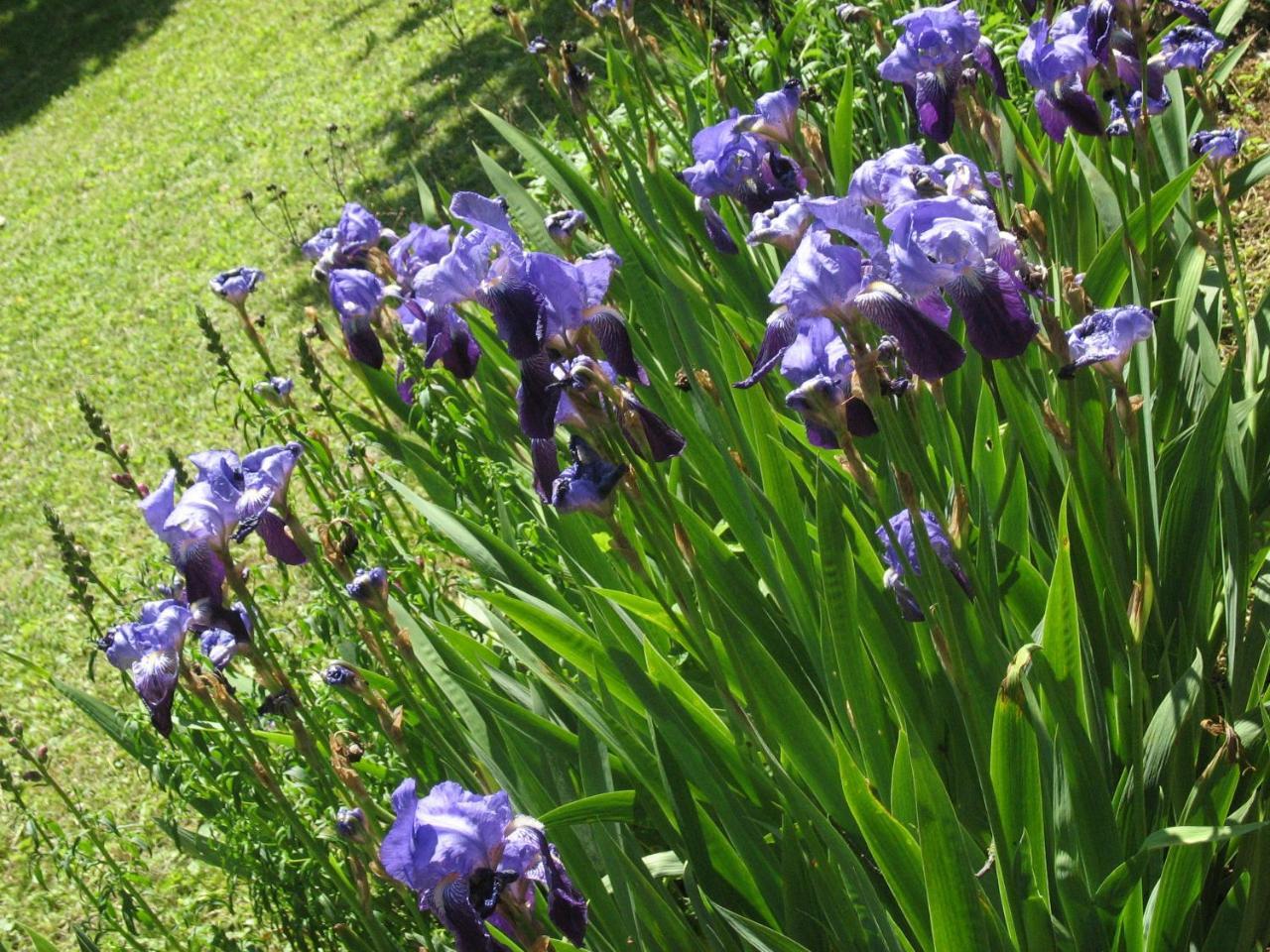 Les Jardins De La Grange Rezonville Exterior foto
